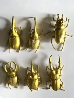 2026年最新】カブトムシ 標本の人気アイテム - メルカリ