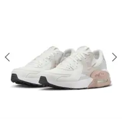NIKE◆25FA エアマックス エクシー CD5432-141