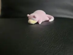 希少 顔違い TOMY製 ポケモン モンスターコレクション 初期 ヤドラン