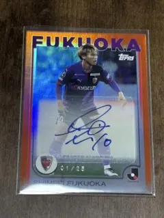 Item thumbnail for item e3559593-7ee9-40dc-b072-7f6a053f3c9a