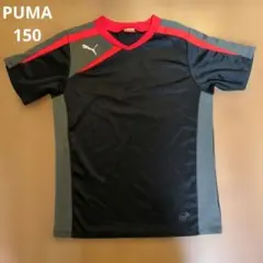PUMA Vネック ドライ Tシャツ 黒/赤/グレー　150サイズ