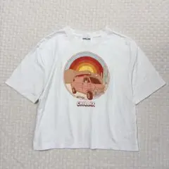 Item thumbnail for item c10a5891-10f2-4f30-983e-8abe9310225e