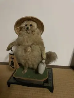 2026年最新】たぬき剥製の人気アイテム - メルカリ