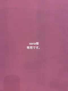 sora様 リクエスト 2点 まとめ商品