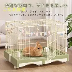 Item thumbnail for item 5f8ac4d5-a3aa-48ae-a825-686809352040