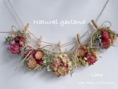 ドライフラワーガーランド スワッグ ⑦ 濃いピンク