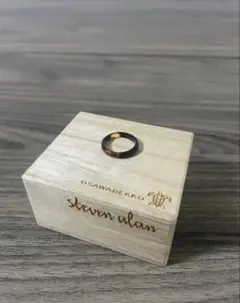 steven alan 大澤鼈甲リング 3MM 3号 ピンキーリングのサムネイル