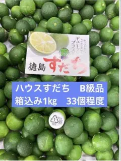 徳島産ハウスすだち　訳あり　約33個　箱込み1㎏のサムネイル