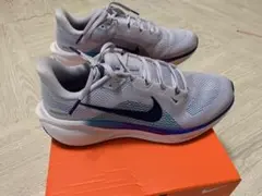 ナイキAIR ZOOM Pegasus41