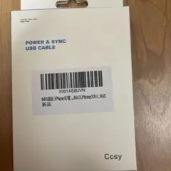 iPhone充電ケーブル