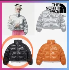 即日発送【THE NORTH FACE 】韓国限定！日本未入荷！ダウンジャケット