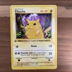 パレット様専用Pikachu yellowcheek