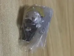 CrazyRaccoon つまんでマスコット YY