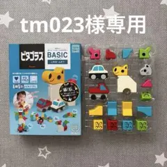 【知育玩具】ピタゴラス BASIC これな〜んだ？ マグネットブロック　箱選択可のサムネイル