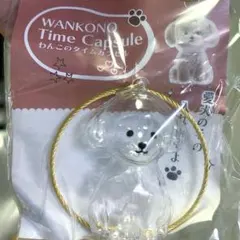 新品未使用⭐︎WANKONOTimeCapsuleわんこのカプセルむぎトイプードル