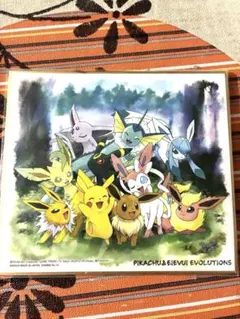 2026年最新】イーブイ 色紙の人気アイテム - メルカリ