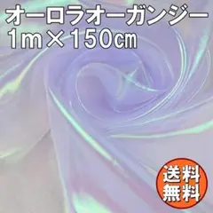 Item thumbnail for item 9cfc04db-881a-4f1e-94c5-4541d99d9ae0