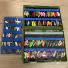 中禅寺湖レイクトラウト引退品 - メルカリ