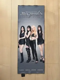 2025年最新】aespa スローガンの人気アイテム - メルカリ