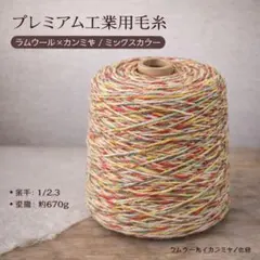 Item thumbnail for item f31dfba5-f4c6-4e0c-bc39-ce2e9be4f8da