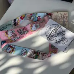 シンガポール限定　キティ　パスケース