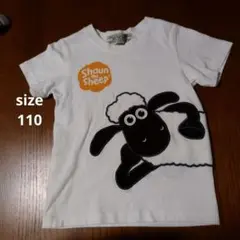 Item thumbnail for item 179d9f07-e520-4af4-abfd-399ae6059e84