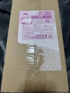 【新品未開封】　ポケモンカードゲーム スペシャルBOX ポケモンセンターヒロシマ