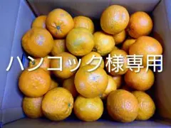 2026年最新】タンカン 屋久島の人気アイテム - メルカリ
