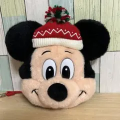 東京ディズニーリゾート　ミッキー　クリスマス　ポーチ　パスケース