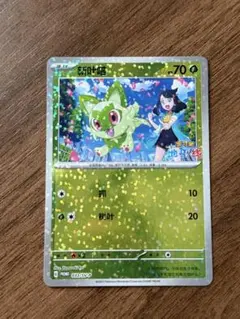 ポケモンカード　36枚セット　中国版 easta_1106061818