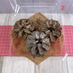 木の実セットz 大きめ松ぼっくり 3個 クラフト素材　工作　クリスマス