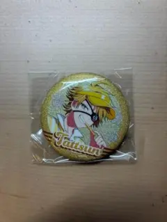 からぴち たっつん ダイナー缶バッジ まとめ売り カラフルピーチ たっつん ダイナー 缶バッジ からぴち - メルカリ