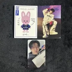 Stray Kids KARMA SKZOOver. トレカ&カード チャンビン