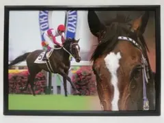 競馬 スペシャルウィーク パネル 心に残る名馬