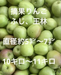 摘果りんご混合ふじ、王林10キロ〜11キロのサムネイル