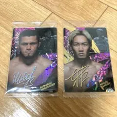 RIZINカード 朝倉未来 シェイドゥラエフ 萩原京平 クレベル 4枚セット