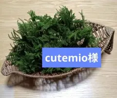 cutemio様専用