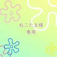 ねこたま様 おまとめ追加分ꕤ.·*.