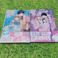 身代わり秒バレ令嬢の契約結婚なのに、騎士公爵が「絶対に離婚しない」と溺愛1.2