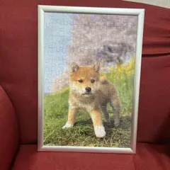 Item thumbnail for item e7efbaf5-3ff4-4f2e-8cc9-353e018652dd