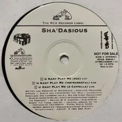 Item thumbnail for item 2f5480bd-8f18-4908-bbad-034e7e4c7f89