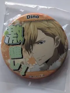 ゆうゆうメルカリ便配送!!　家庭教師ヒットマンリボーン　ディーノ　缶バッジ