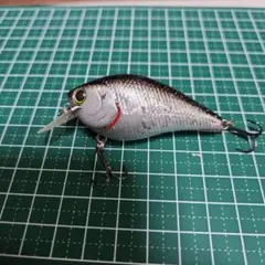 Item thumbnail for item 107064b3-4171-457c-a52a-d60338a2df74