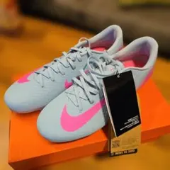 Item thumbnail for item ae46d58f-af95-4028-af4d-acb9e090ed5e