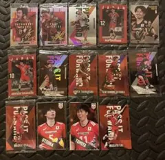 日本代表 バレーボール トレーディングカード 14枚セット