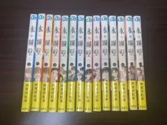 氷の城壁 全巻 全巻セット 3巻以外 全巻初版 全14巻セット - メルカリ