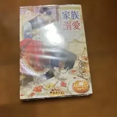 無能な継母ですが、家族の溺愛が止まりません! = THE BELOVED IN…