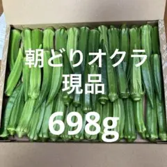 朝どりオクラ 698g 消毒、農薬不使用のサムネイル