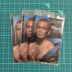 Item thumbnail for item a7535f17-1adb-4602-b958-61e54722983a