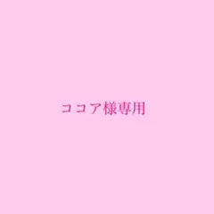 在庫処分セール　4m